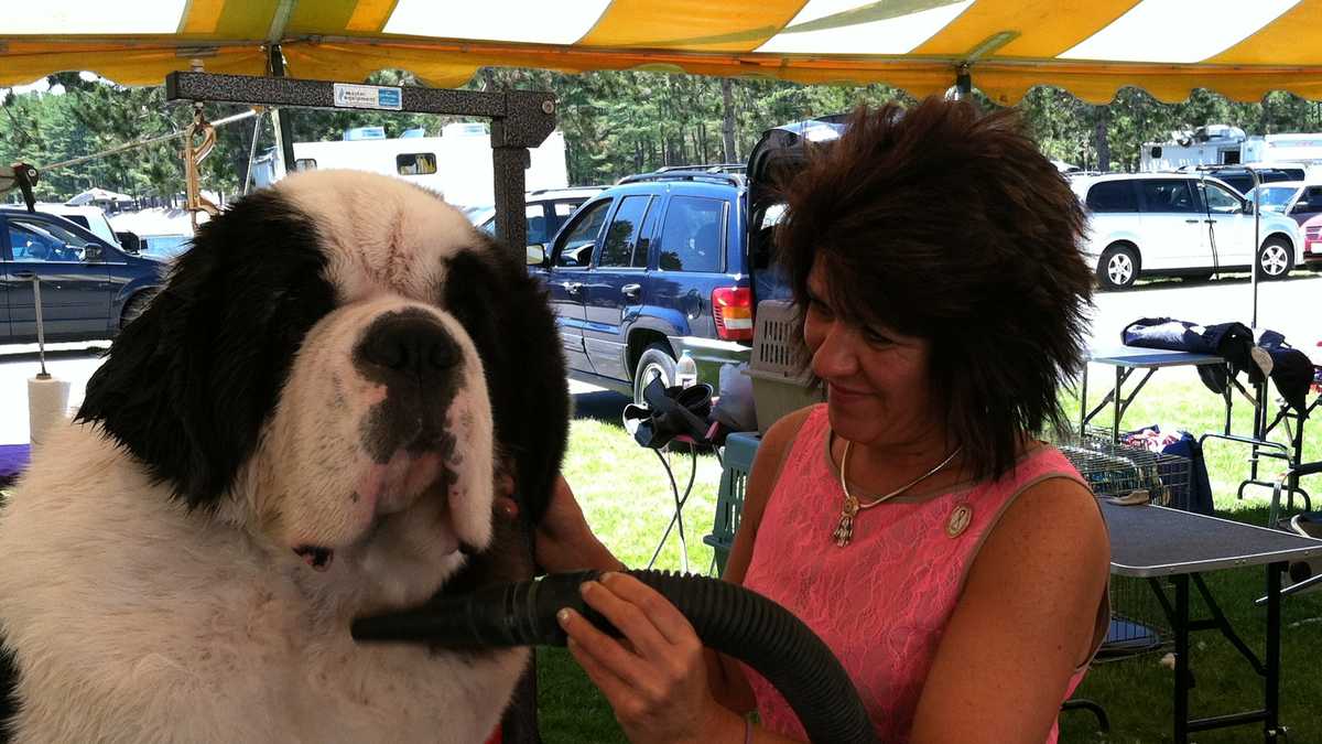 Photos Southern Maine Coastal Classic Dog Show