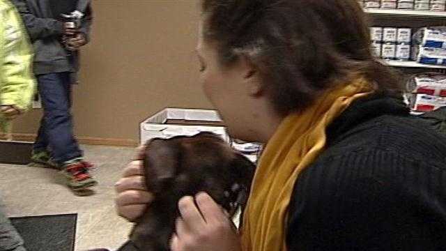 Photos: Dog lost for week in bitter cold reunited with owner