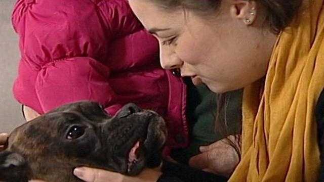 Photos: Dog lost for week in bitter cold reunited with owner