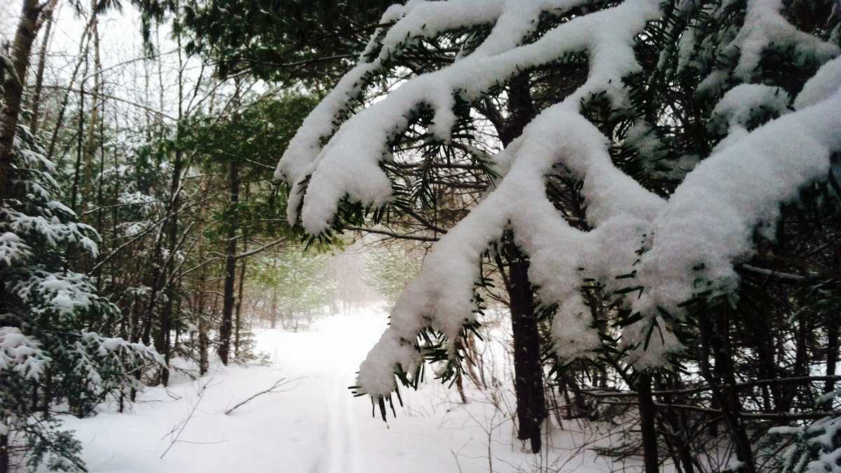 Snowfall totals See how much fell across Maine