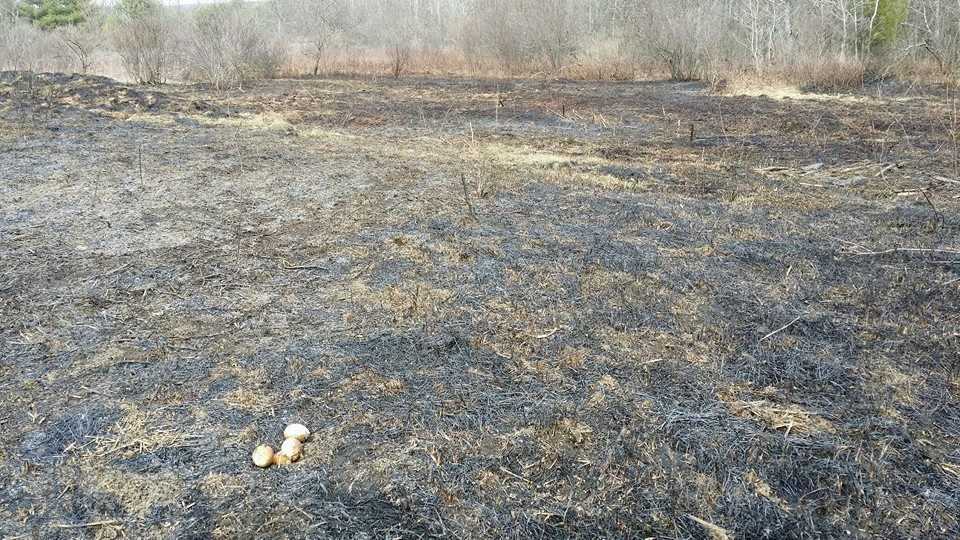 Photos Fire danger on the rise in Maine