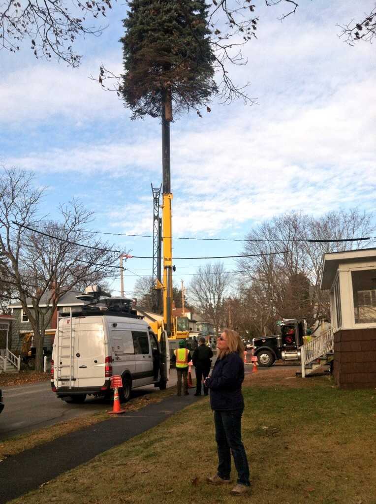 Photos: Portland Christmas tree