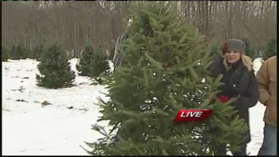 With a little more than two weeks until Christmas, you still have time to get that perfect tree. But how do you know what to look for? WMTW News 8's Morgan Sturdivant has tips from the Merry Christmas Tree Farm in Windham.