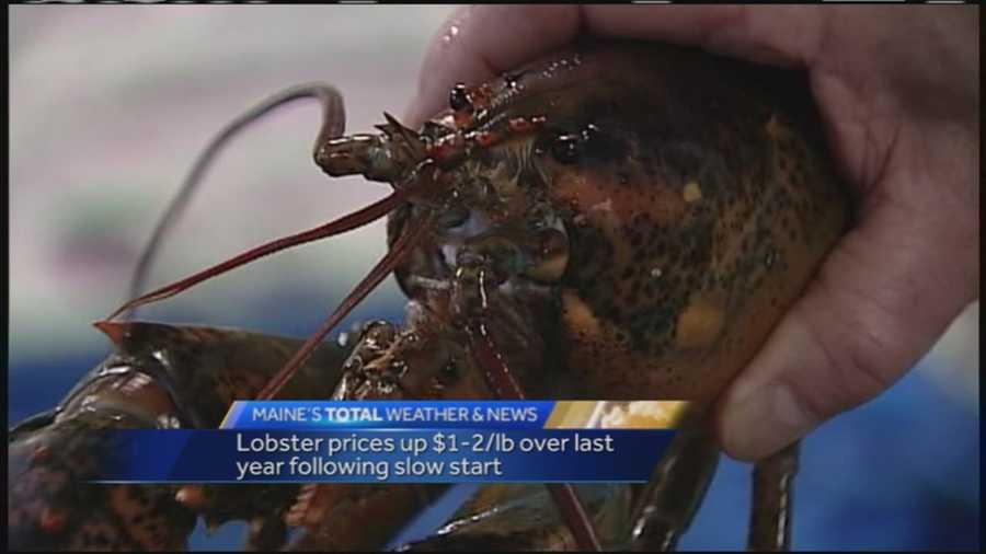 Lobster prices rise with start of summer