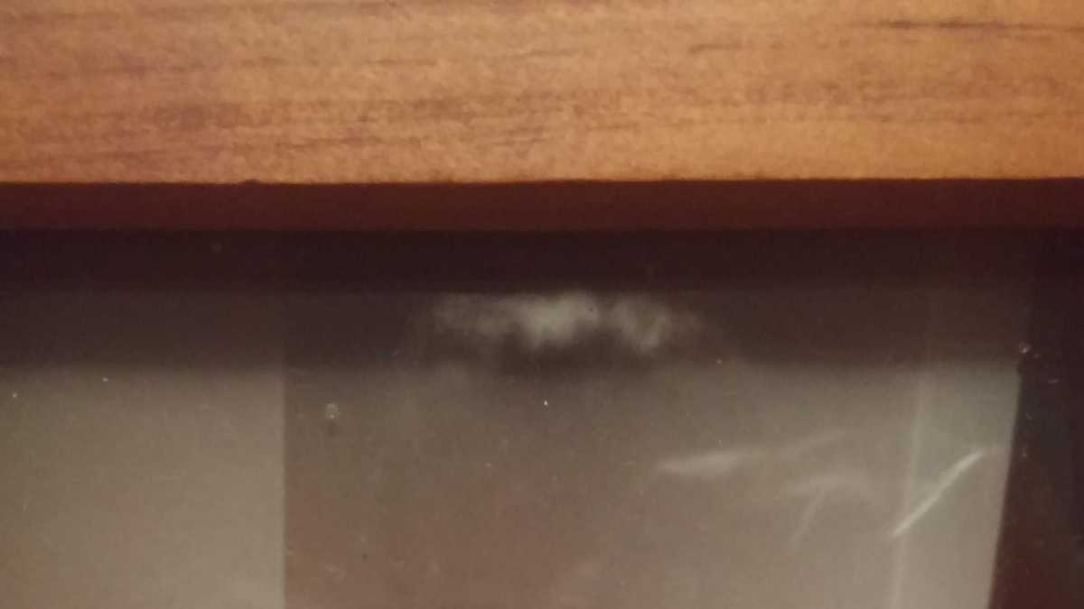 20 things you may not know about Tracy Sabol