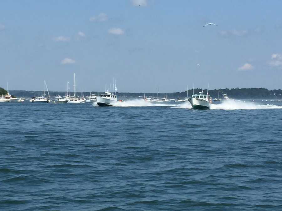 Photos: MS Harborfest lobster boat races