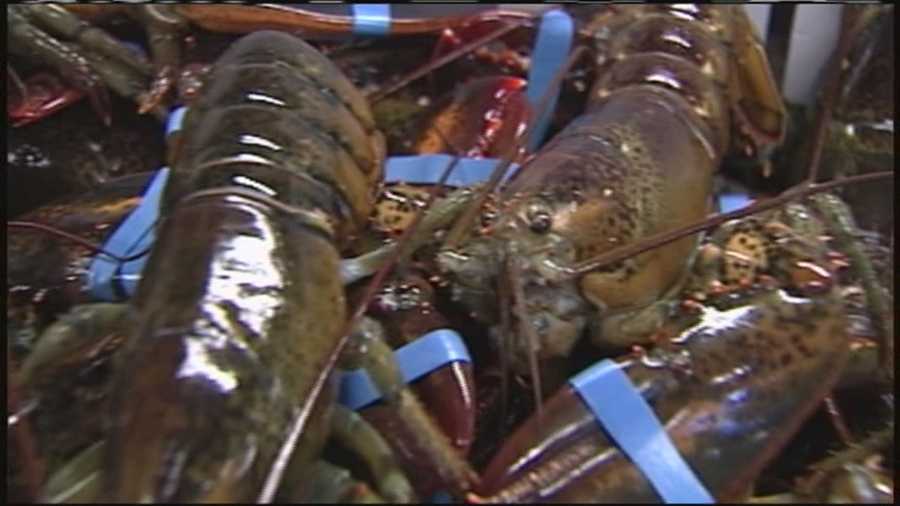 WMTW News 8's Katie Thompson takes a closer look at the rise in Maine lobster prices, which is good news for local lobstermen and lobster dealers.