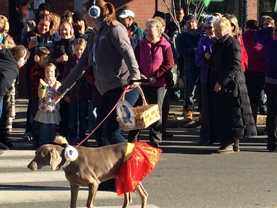 Photos Chester Greenwood Day