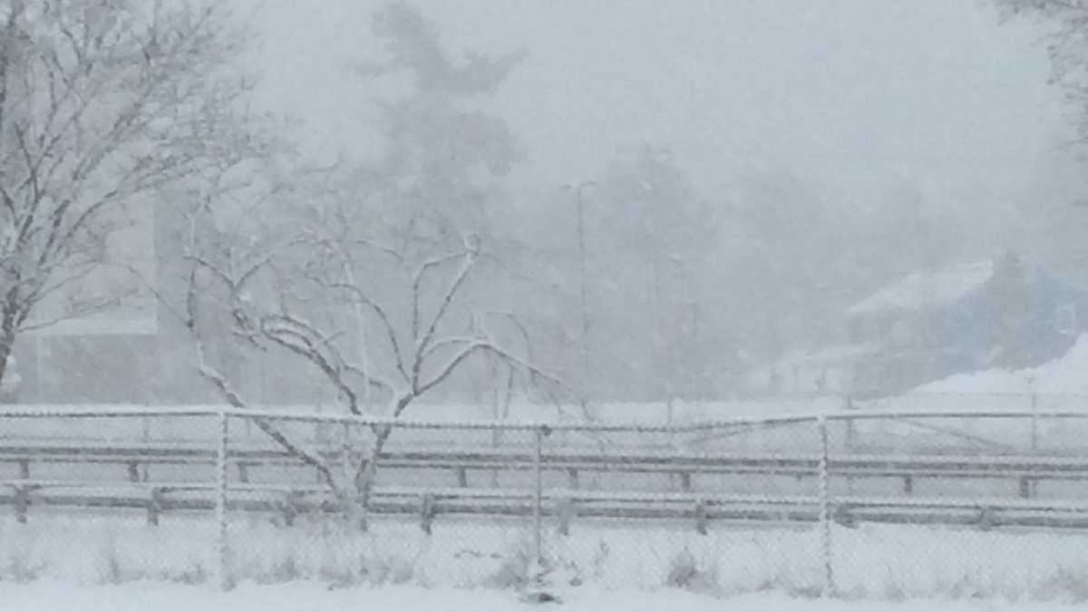 Photos Storm brings heavy, wet snow