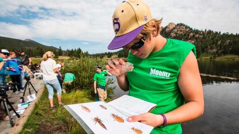 what are the benefits of being a citizen scientist