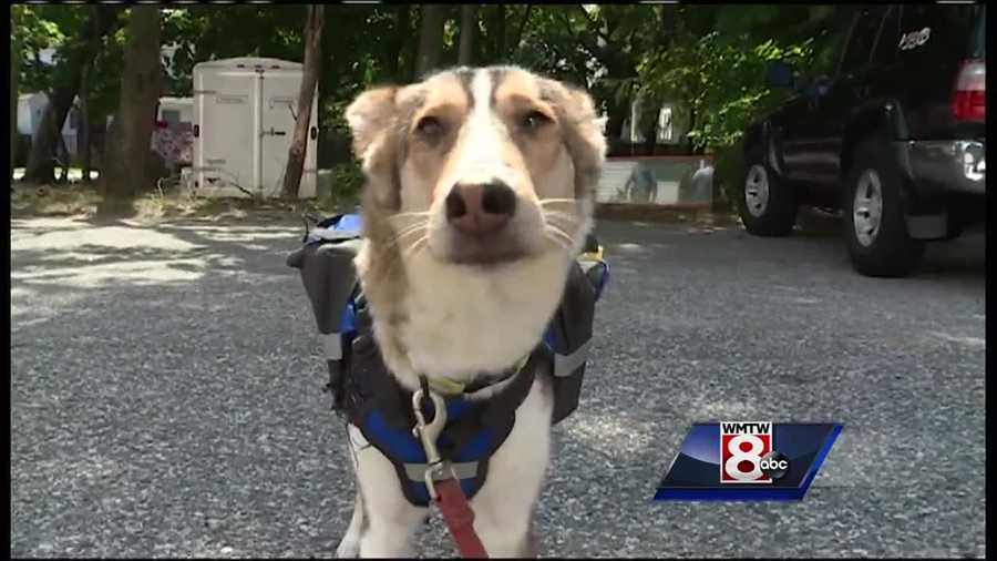 A Portland man who took a one-way trip to adopt a dog on a kill list in Minnesota is embarking on a new journey Saturday: He will hike the Appalachian Trail with his pet in tow.