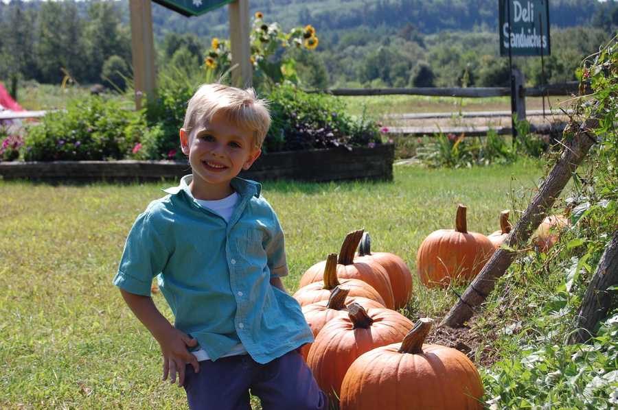 List Favorite farm stands in NH