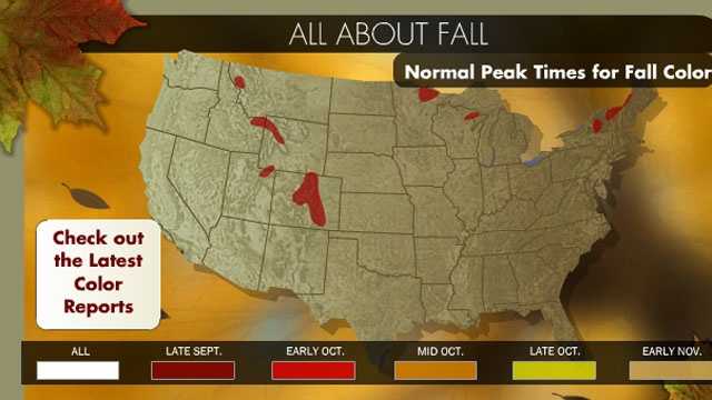 Fall Foliage: Peak Times