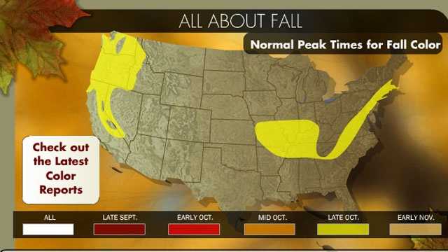 Fall Foliage: Peak Times