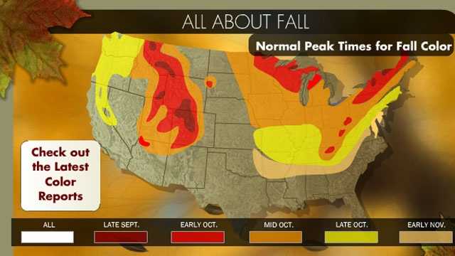 Fall Foliage: Peak Times