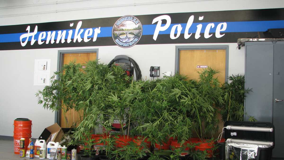 Henniker police arrest man in connection with marijuanagrowing operation