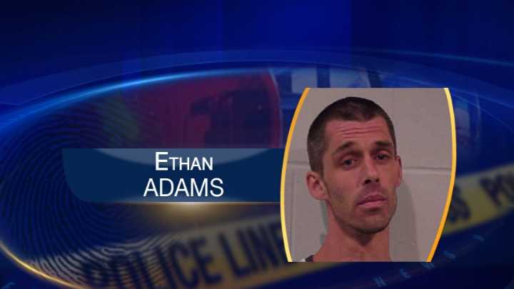 Man accused of forcing his way into elderly woman's home