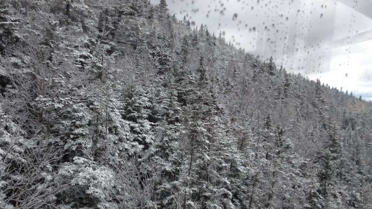 Deals for seniors, all NH residents, available at Cannon Mountain