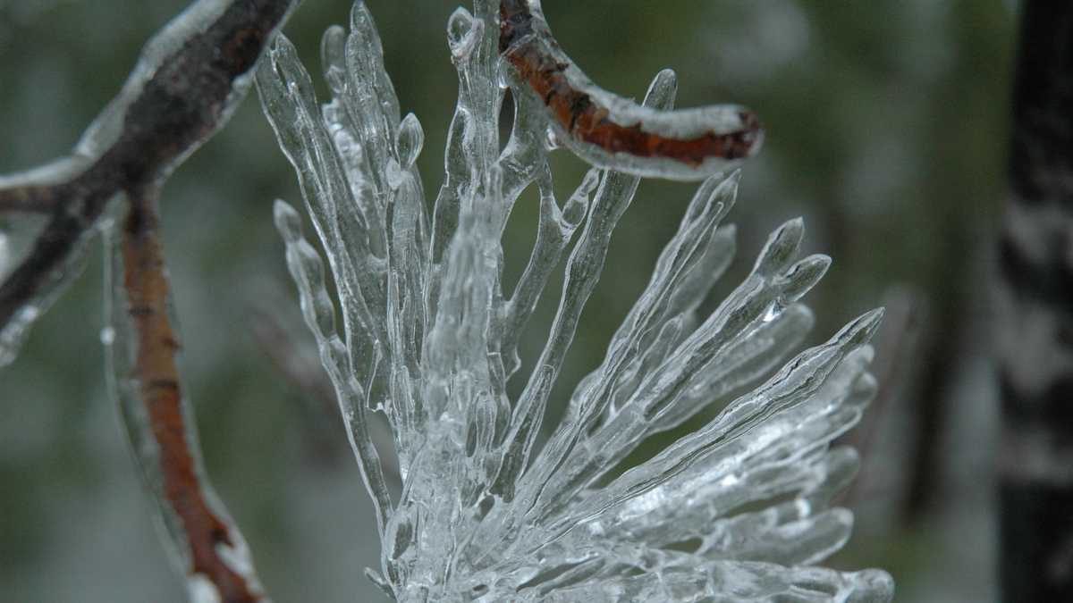 Weather 101: Test your knowledge