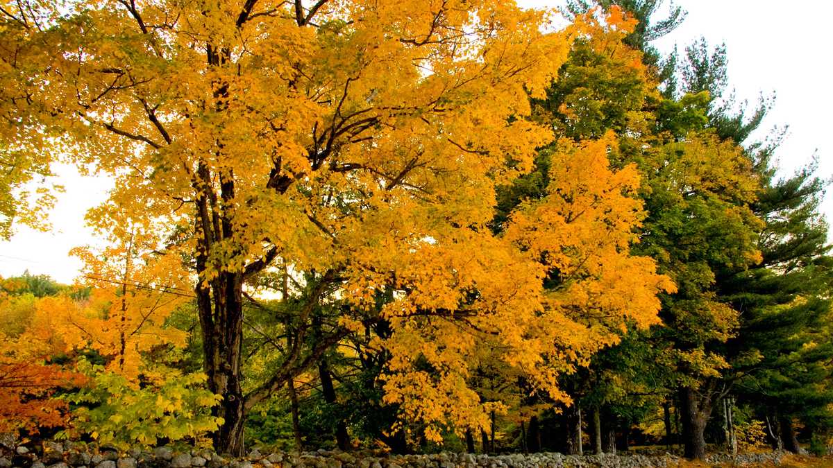 Weather 101: Test your knowledge