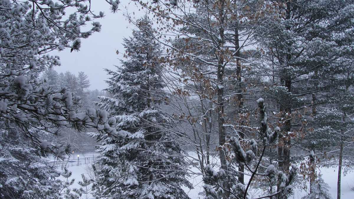 Images: Snow falls across NH week before Christmas