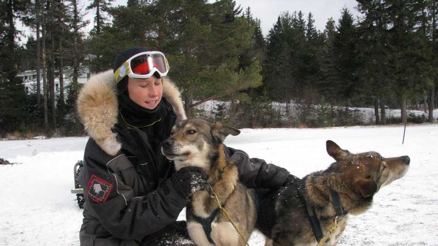 AJ Norton, a musher at Muddy Paw sled dog kennel in Jefferson, gives some love to Gonzo, who is blind. Poncho, his brother at right, provides him confidence to continue to do what he loves most: run. They are 7-year-old Alaskan Huskies who were hard at work recently at the Omni Mount Washington Hotel in Bretton Woods.