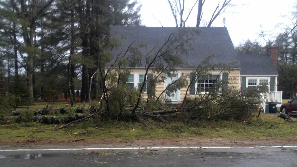 Wild storm's high winds cause thousands of power outages