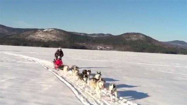 A boy from England came to New Hampshire to experience dog sledding on Squam Lake.