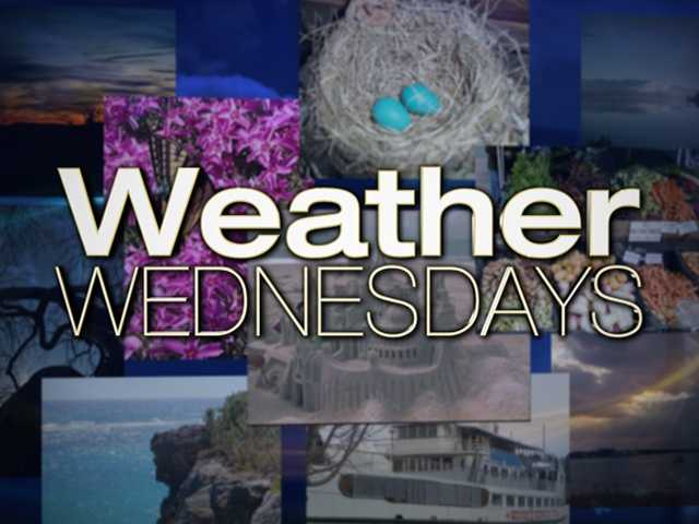 Introducing WMUR's Weather Wednesdays