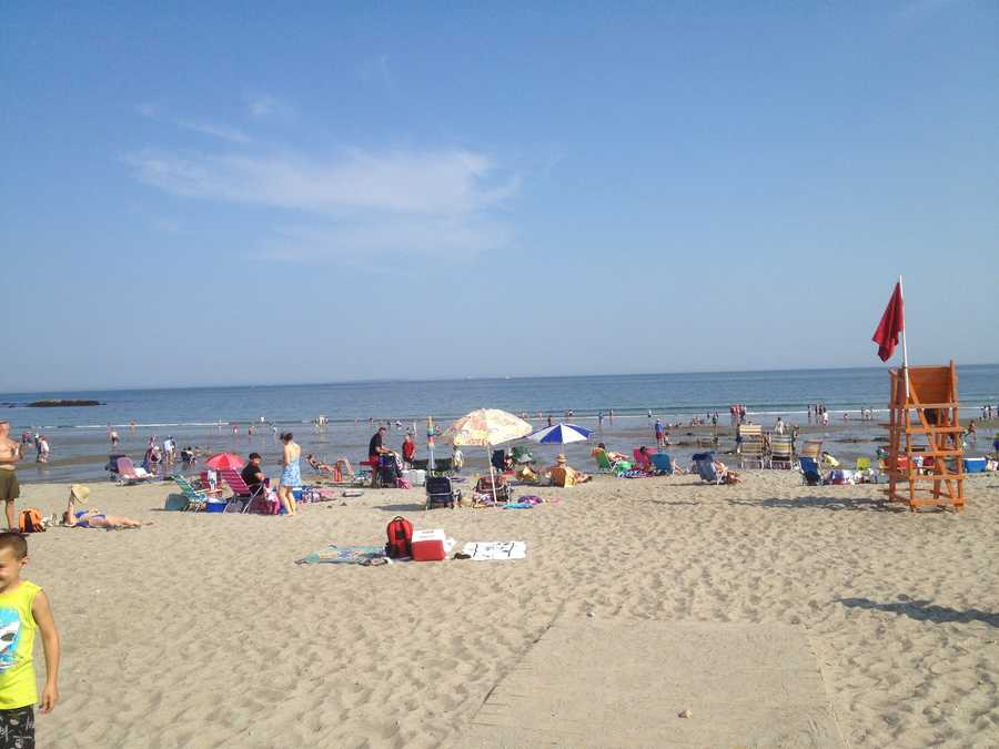 Images: Reported shark sighting at Wallis Sands Beach