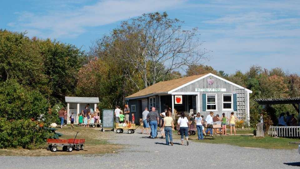 Viewer's Choice Best apple orchards in New Hampshire