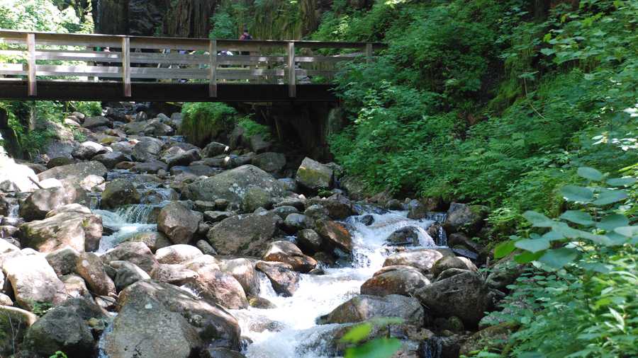 The Flume is a natural gorge at the base of Mount Liberty.