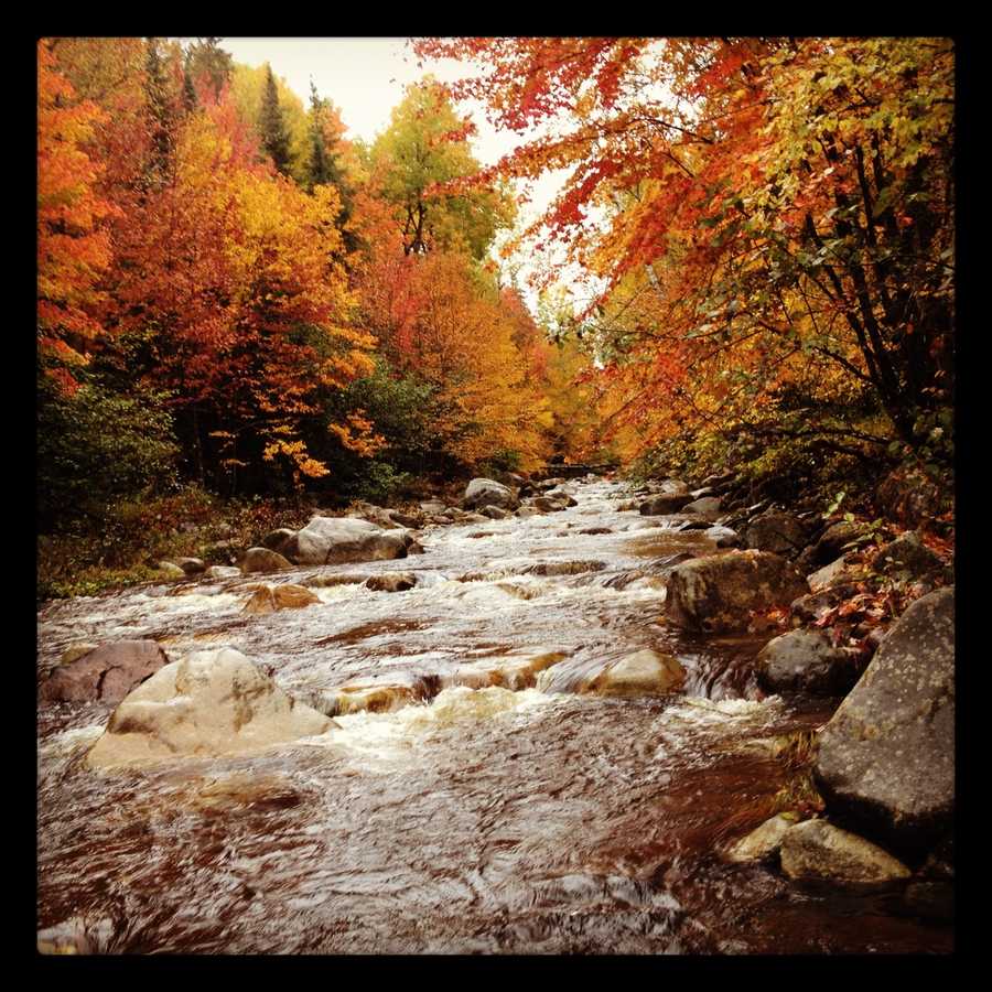 Viewer's Choice Best places to view fall foliage in New Hampshire