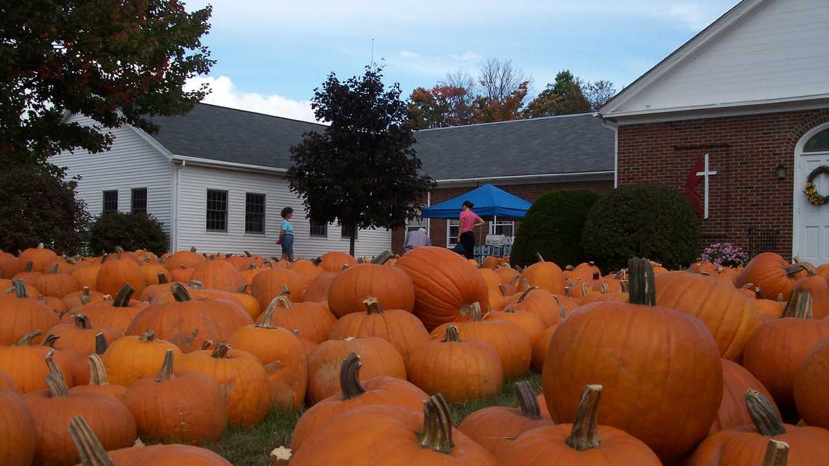 Viewer's Choice Best pumpkin patches in New Hampshire