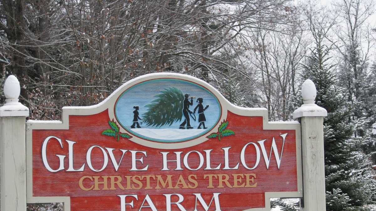 Photos Two beautiful Christmas tree farms in NH