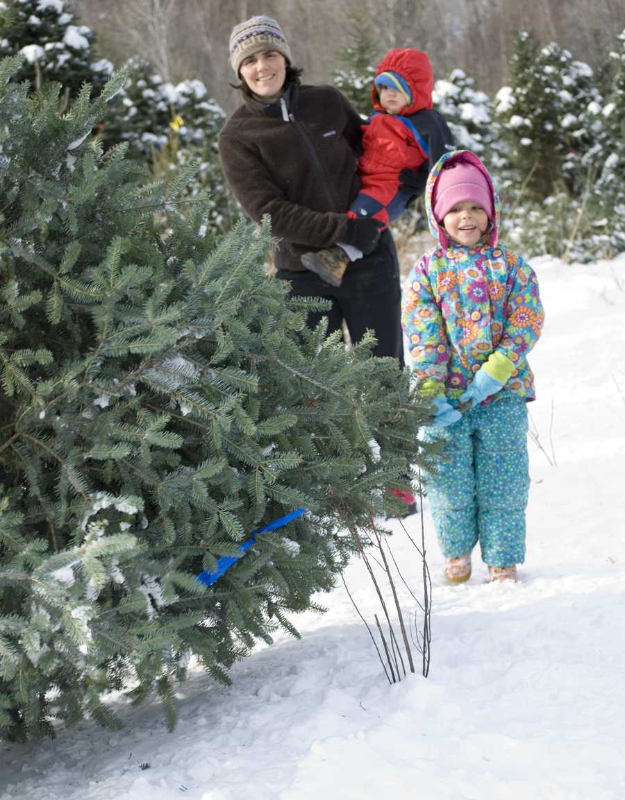 Photos: Two beautiful Christmas tree farms in NH