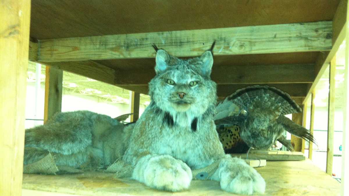 Bass Pro Shops to open Feb. 2014 in Hooksett