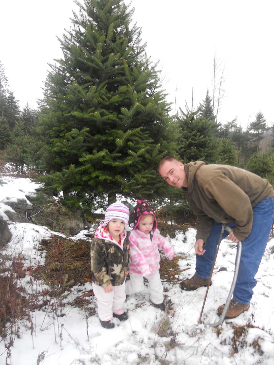 Viewer's Choice: Best Christmas tree farms in New Hampshire