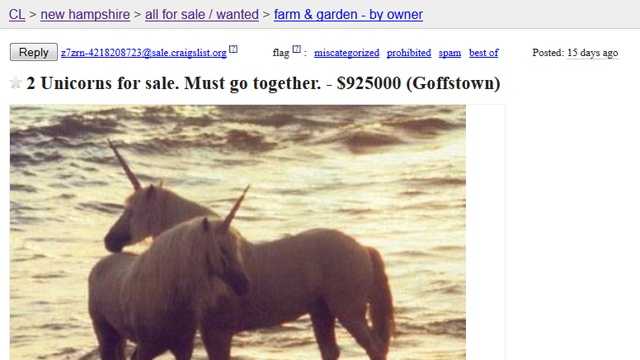 What CMS is Craigslist using?
