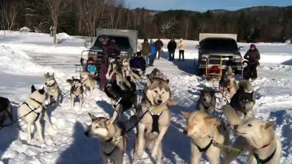 why do dog sled drivers say mush