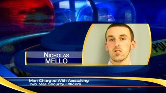 Man accused of assaulting two officers
