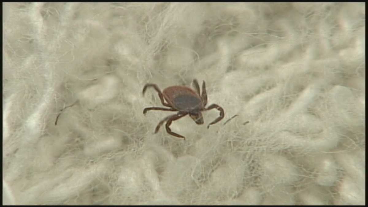 Health officials warn of tick dangers