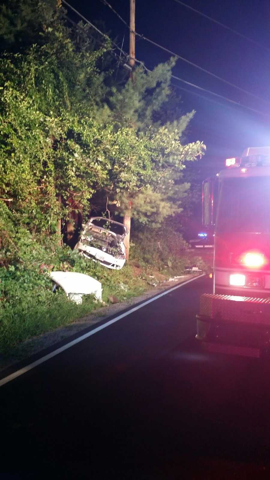 Photos: Car crashes into utility pole, trees