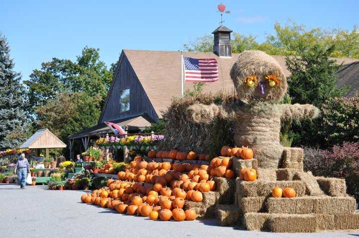 Viewer's Choice: Best apple orchards in New Hampshire