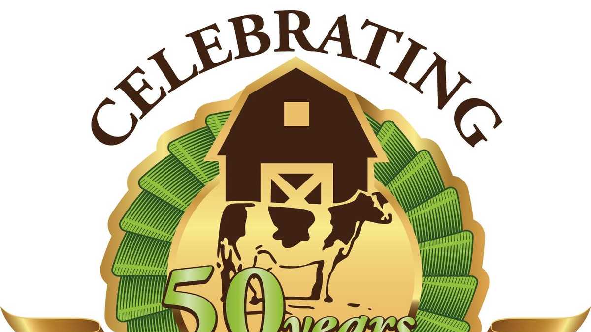 Viewers' Choice Best apple cider doughnuts in NH