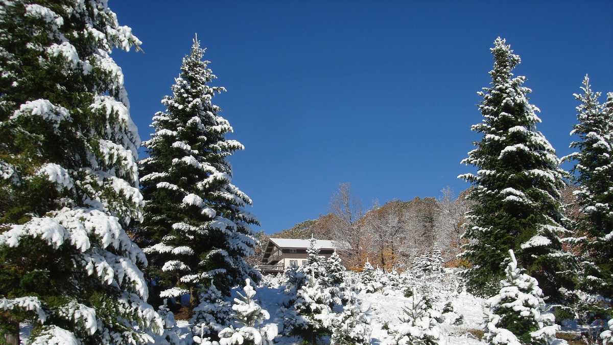 Viewers' Choice: Best Christmas tree farms in NH