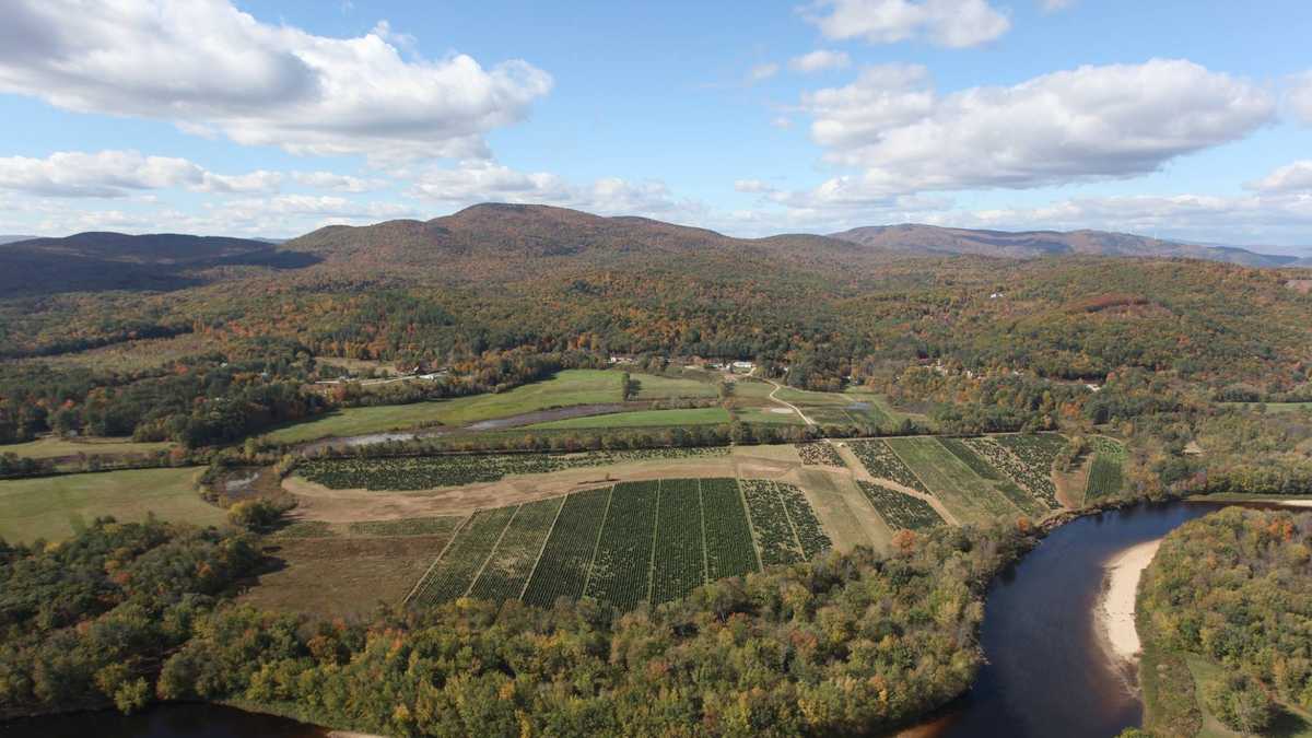 Viewers' Choice Best Christmas tree farms in NH