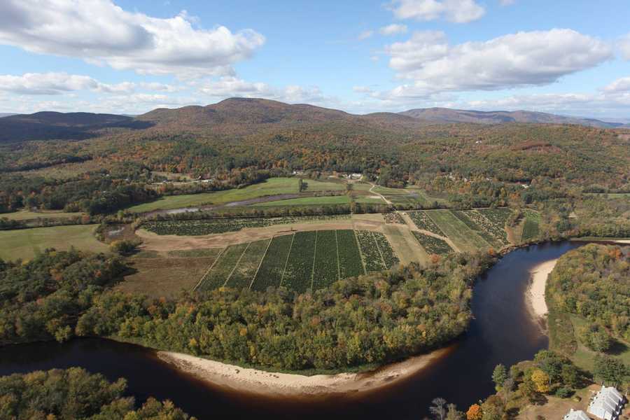 Viewers' Choice Best Christmas tree farms in NH