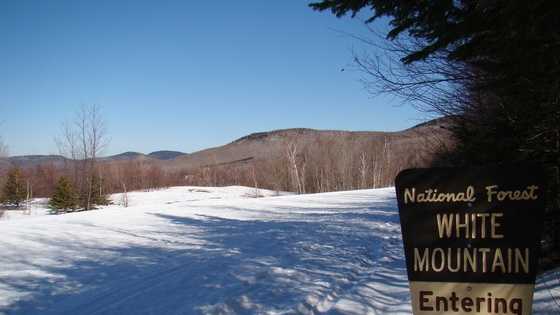 white mountain national forest, u local.jpg