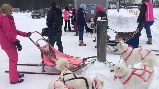 Snowmobilers donned pink and drove through white powder Saturday for the 4th Annual Pink Ride.